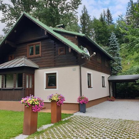 Villa Freeride-Living Annaberg im Lammertal Exterior foto